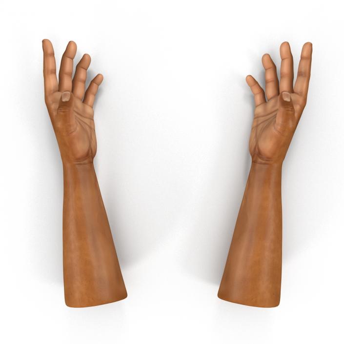 3D African Man Hands 2 Rigged