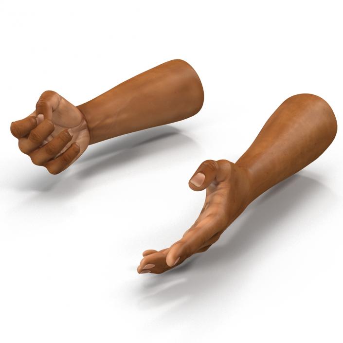 3D African Man Hands 2 Rigged