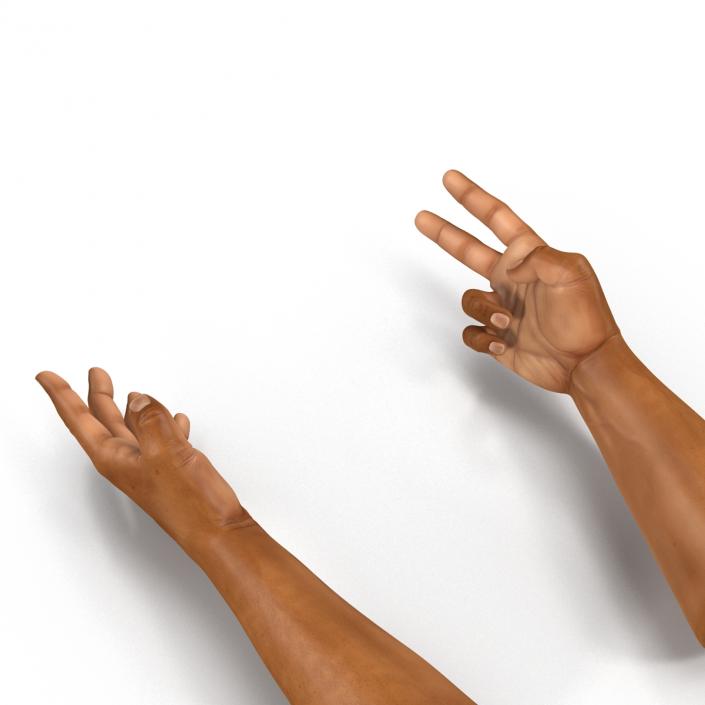 3D African Man Hands 2 Rigged