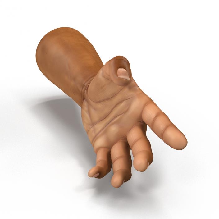 3D African Man Hands 2 Rigged