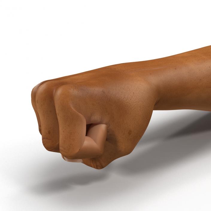 3D African Man Hands 2 Rigged