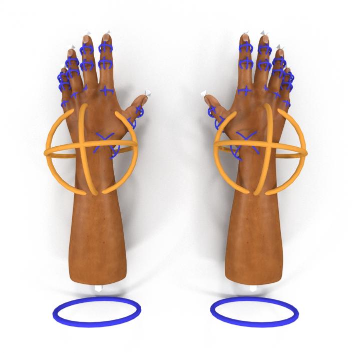 3D African Man Hands 2 Rigged