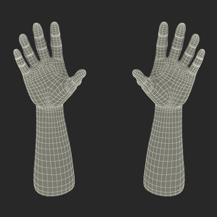 3D African Man Hands 2 Rigged