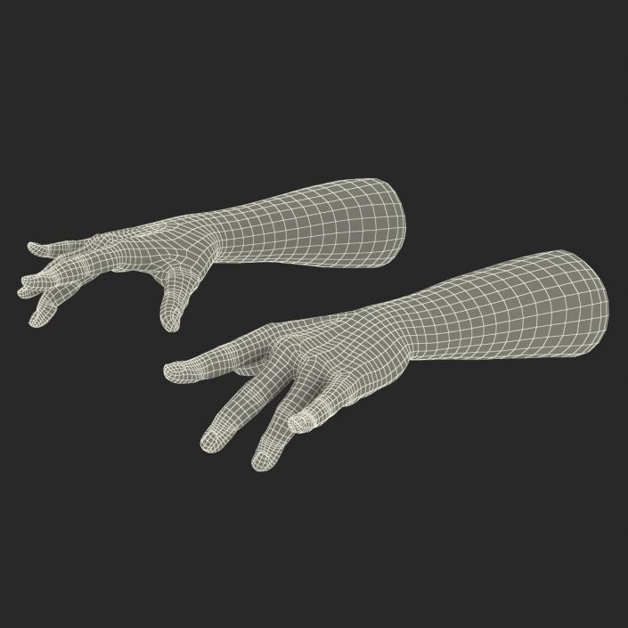 3D African Man Hands 2 Rigged