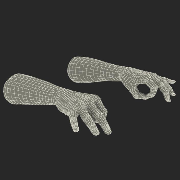 3D African Man Hands 2 Rigged