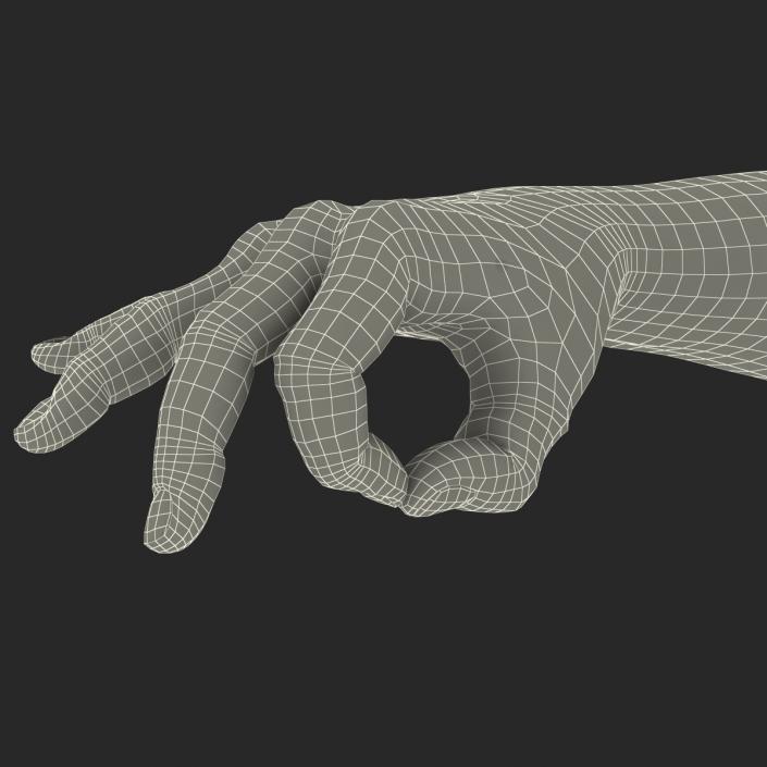 3D African Man Hands 2 Rigged