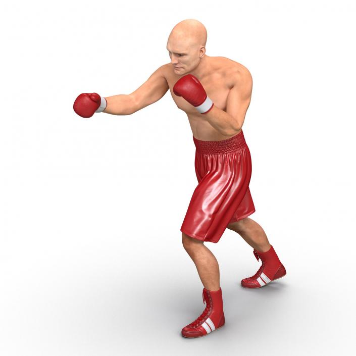 3D Boxer Man 2 Pose 3 model