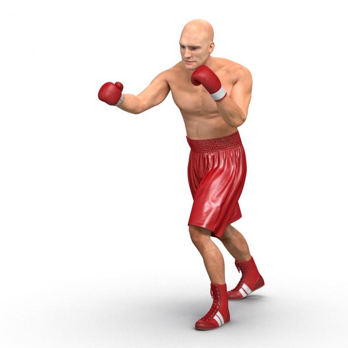 3D Boxer Man 2 Pose 3 model