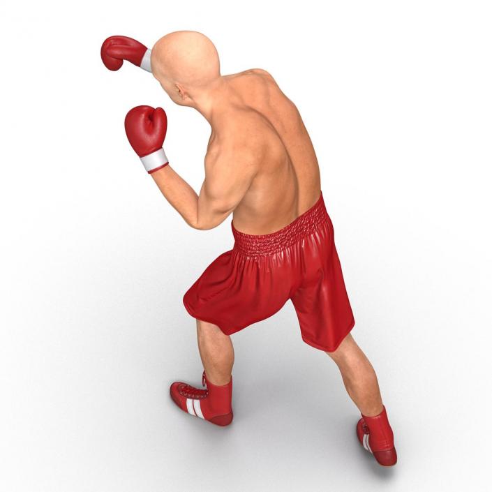 3D Boxer Man 2 Pose 3 model