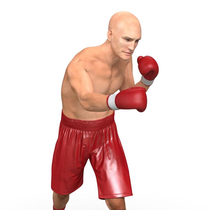 3D Boxer Man 2 Pose 3 model