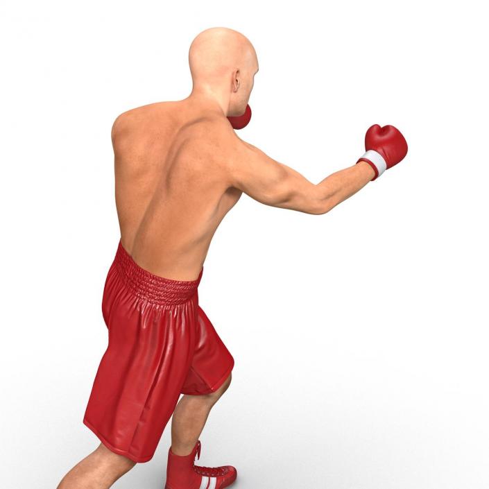 3D Boxer Man 2 Pose 3 model