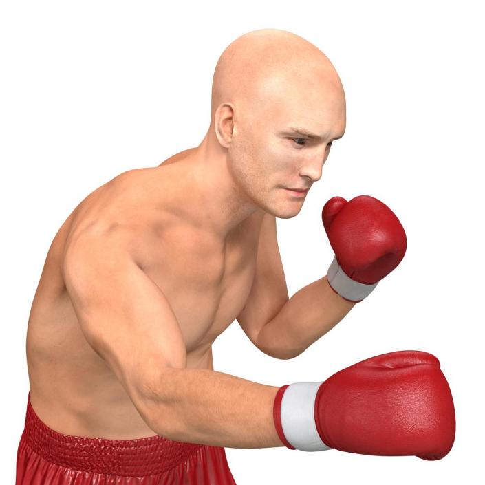 3D Boxer Man 2 Pose 3 model