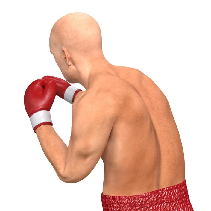 3D Boxer Man 2 Pose 3 model