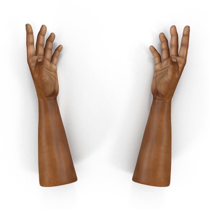 3D African Man Hands 3 Rigged