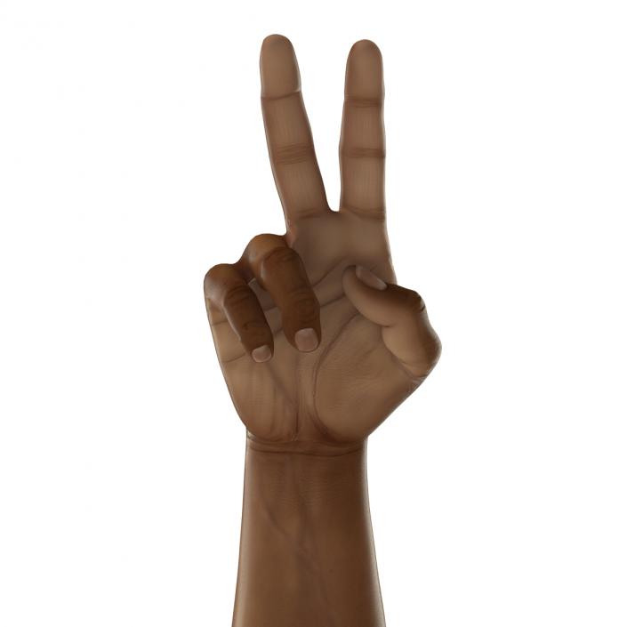 3D African Man Hands 3 Rigged