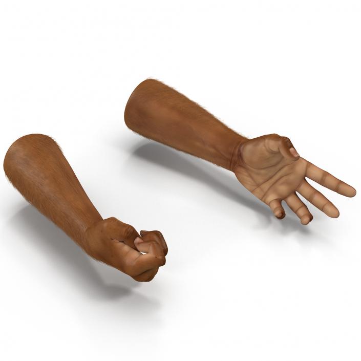 3D model African Man Hands 3 with Fur Rigged