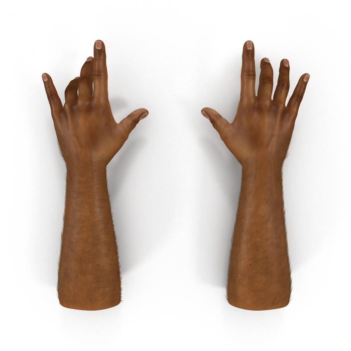 3D model African Man Hands 3 with Fur Rigged