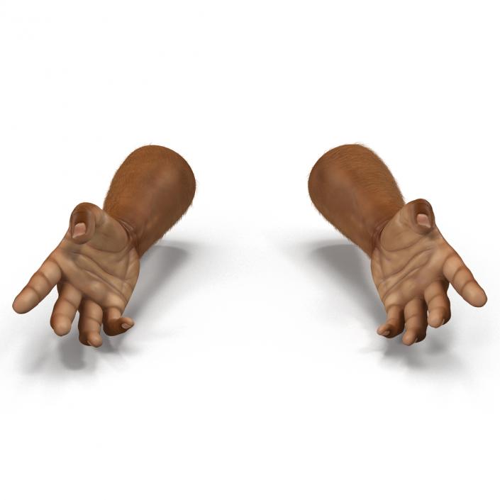 3D model African Man Hands 3 with Fur Rigged