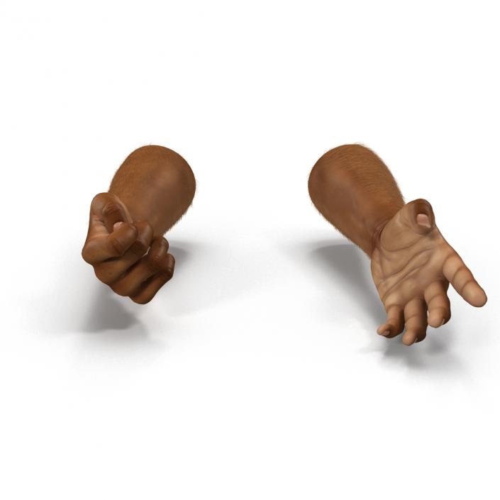 3D model African Man Hands 3 with Fur Rigged