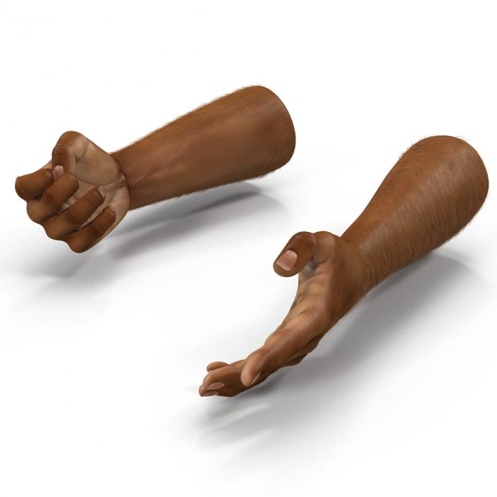 3D model African Man Hands 3 with Fur Rigged