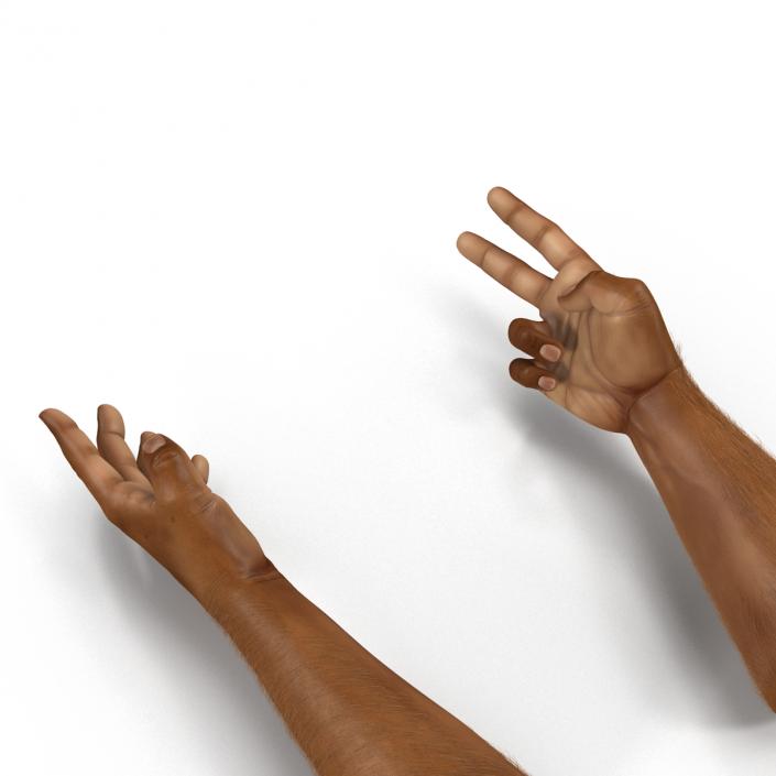 3D model African Man Hands 3 with Fur Rigged