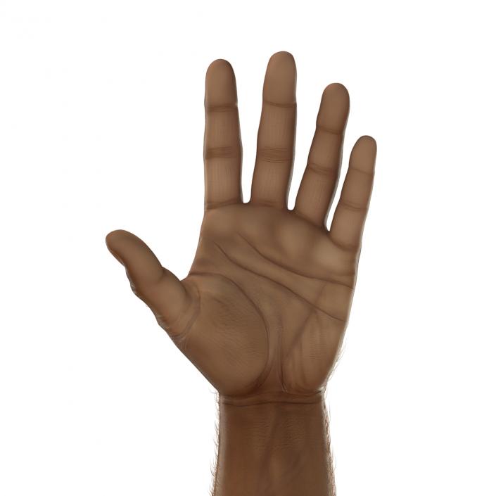 3D model African Man Hands 3 with Fur Rigged