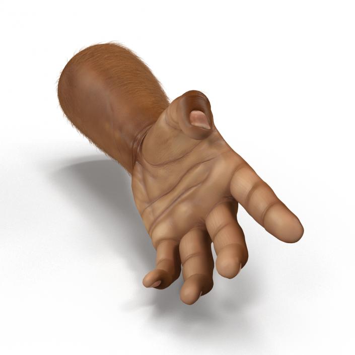 3D model African Man Hands 3 with Fur Rigged