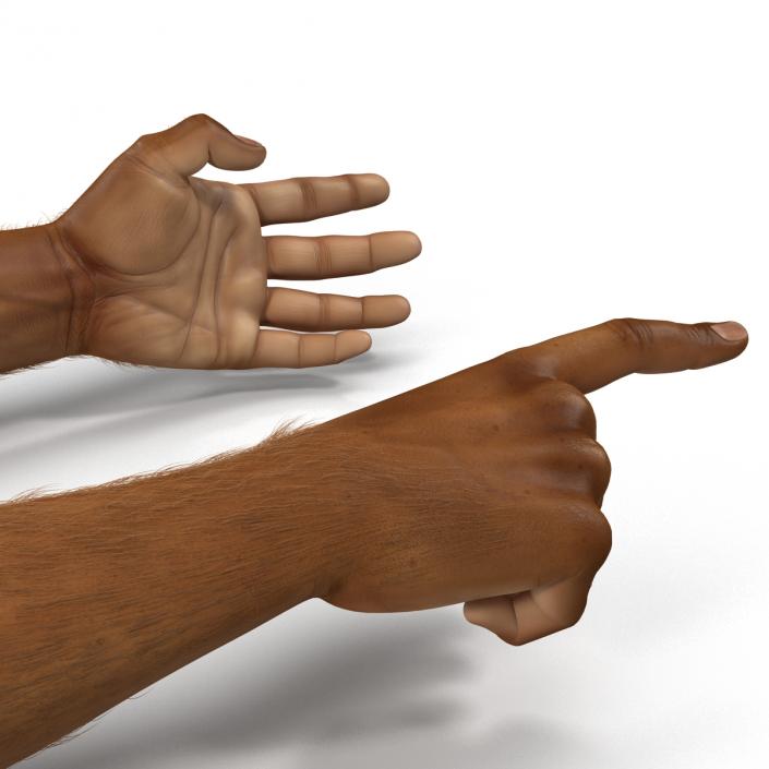 3D model African Man Hands 3 with Fur Rigged