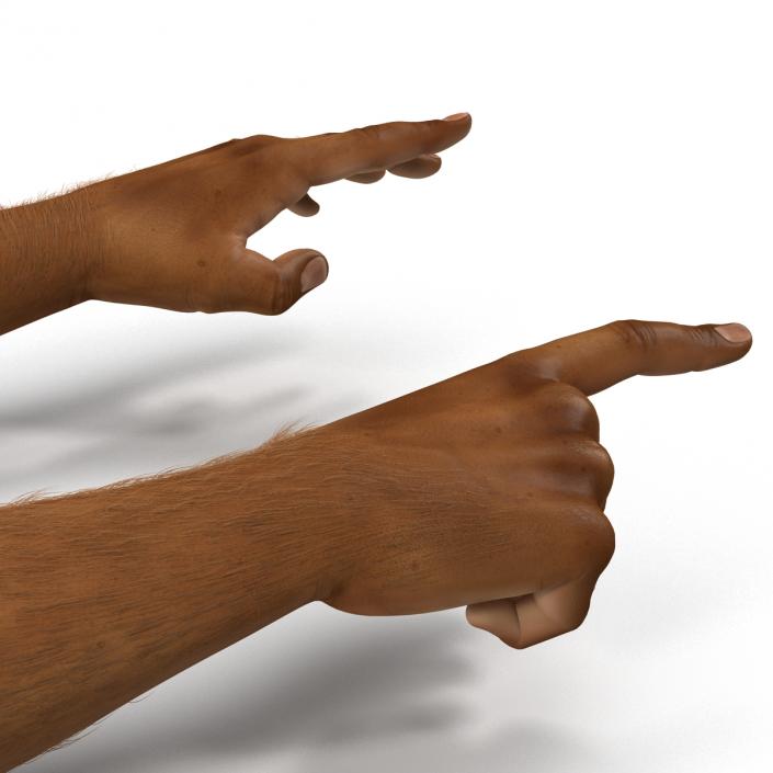 3D model African Man Hands 3 with Fur Rigged