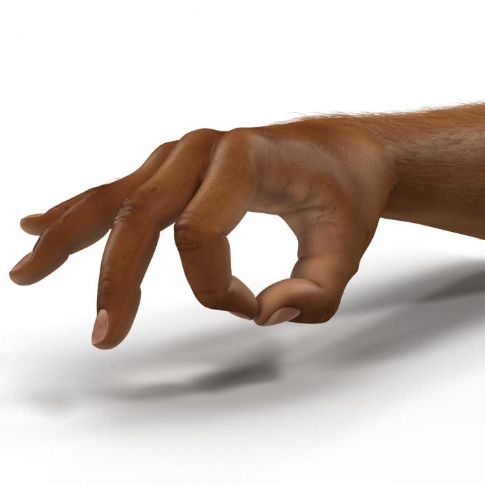 3D model African Man Hands 3 with Fur Rigged