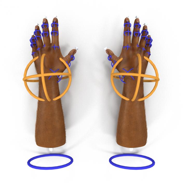 3D model African Man Hands 3 with Fur Rigged