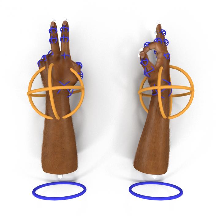 3D model African Man Hands 3 with Fur Rigged