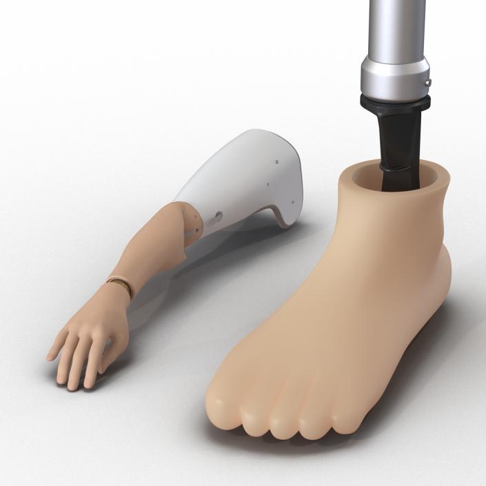 3D Prosthetic Leg and Arm Collection model