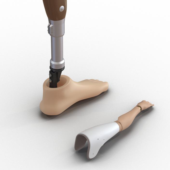 3D Prosthetic Leg and Arm Collection model