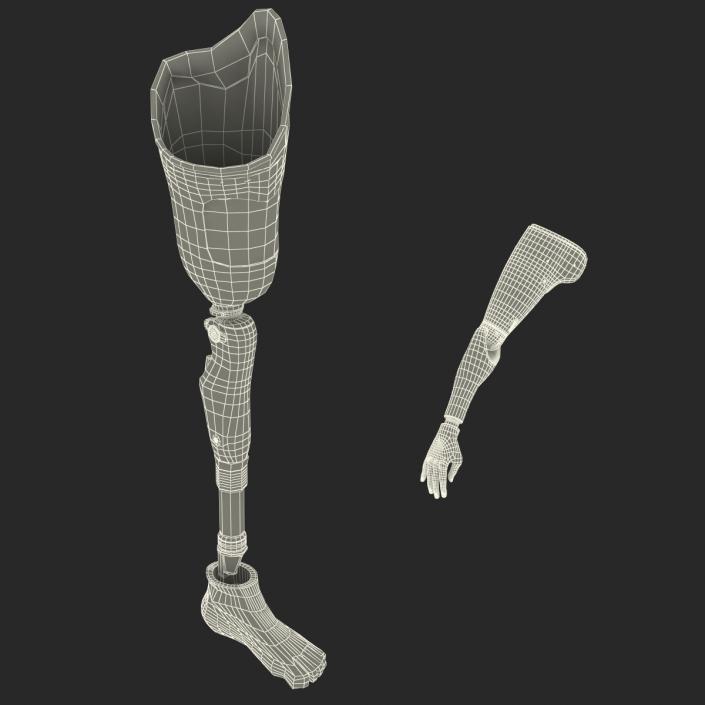 3D Prosthetic Leg and Arm Collection model