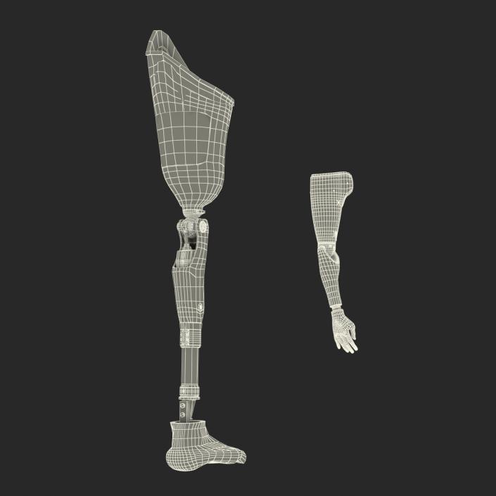 3D Prosthetic Leg and Arm Collection model