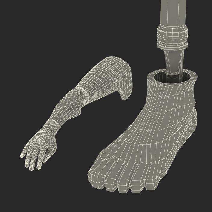 3D Prosthetic Leg and Arm Collection model