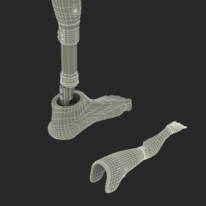 3D Prosthetic Leg and Arm Collection model