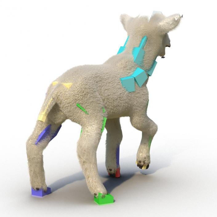 3D model Lamb Rigged with Fur