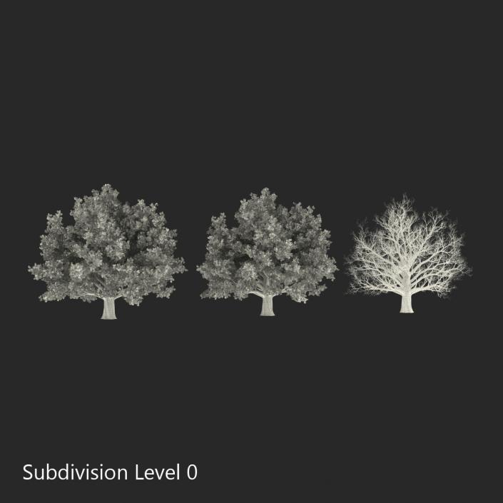 3D model Red Oak Old Tree Set