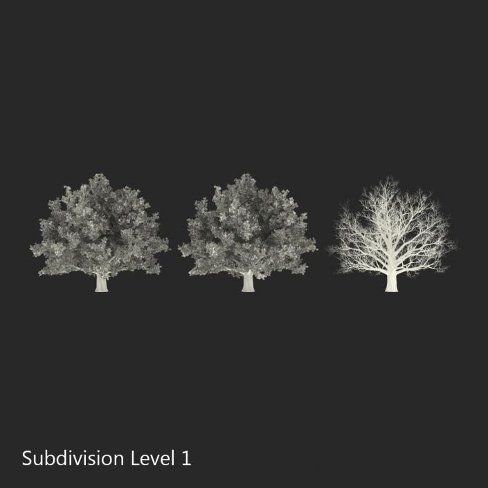 3D model Red Oak Old Tree Set