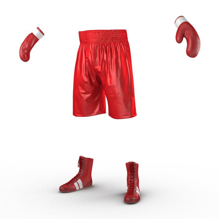 3D Boxing Gear