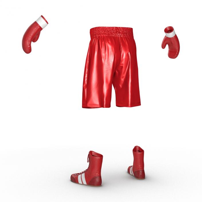 3D Boxing Gear