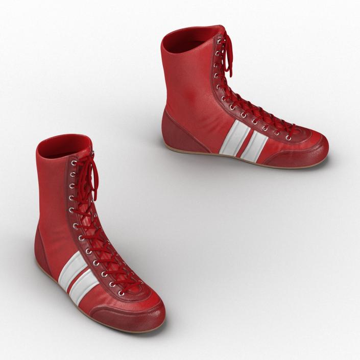 3D Boxing Gear