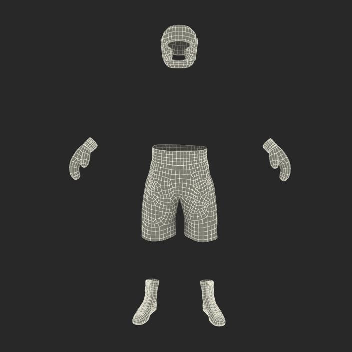 3D Boxing Gear