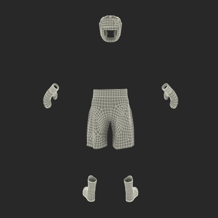 3D Boxing Gear