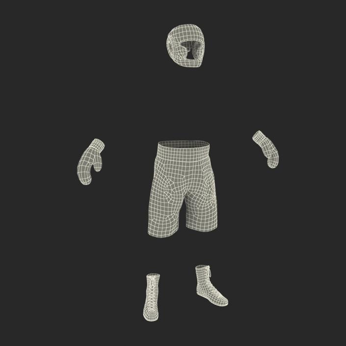 3D Boxing Gear