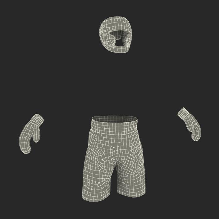 3D Boxing Gear