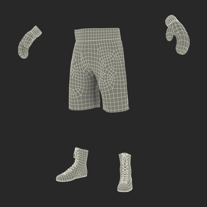 3D Boxing Gear