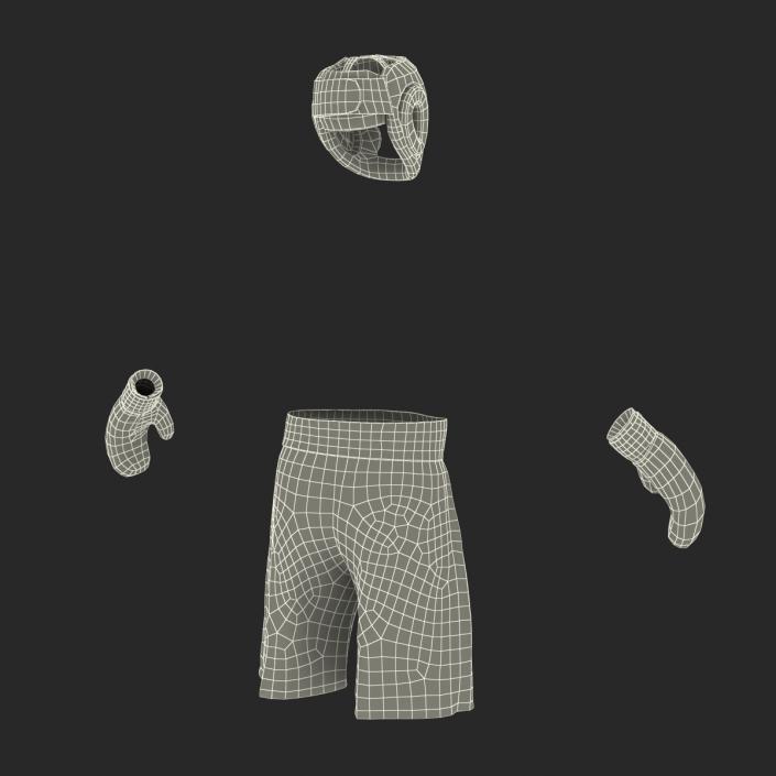 3D Boxing Gear